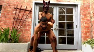 In this follow-up video, our dynamic duo takes their escapades out onto the patio. The challenge is to keep the noise level down enough not to disturb the neighbors.