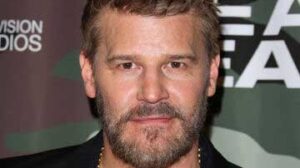 David Boreanaz with another muscle stud, but ends up being the bottom bitch! I like to go somewhere warm when winter arrives. I hate cold weather.