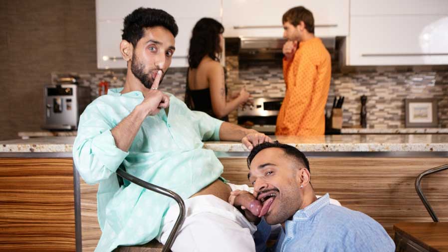 Raj hasn’t met his friend’s new fiancée? yet, so he’s excited when he and his boyfriend are invited for a dinner party. He and Ram Sivan quickly hit it off while their partners are cooking